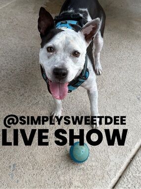 LIVE Show @simplysweetdee Notification